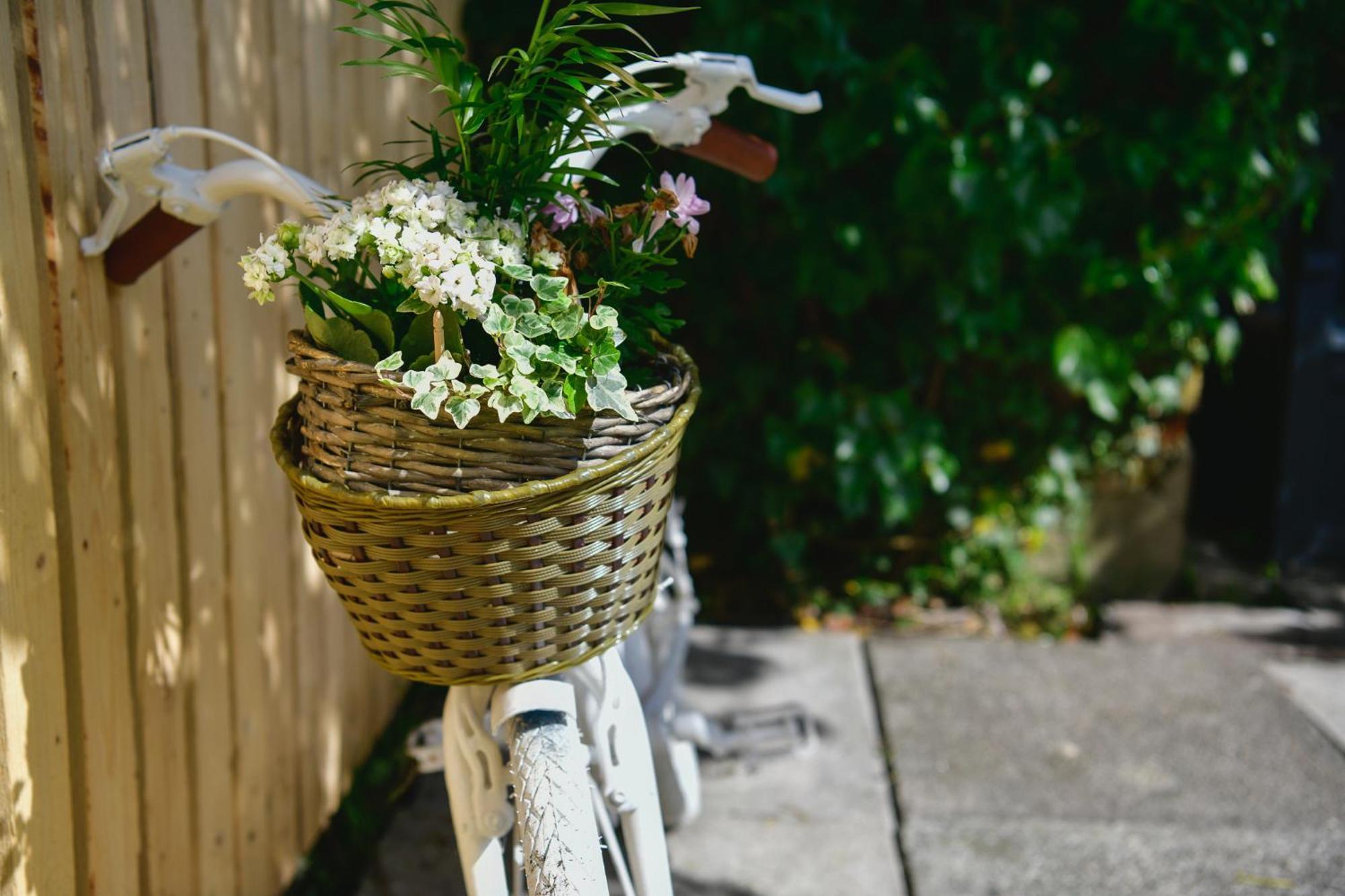 Free Parking - Heart Of The City - Superb Townhouse & Garden - Peaceful Area But Only 5Min Walk To Beach, Shops, Bars, Arena, Marina, Parks スウォンジー エクステリア 写真